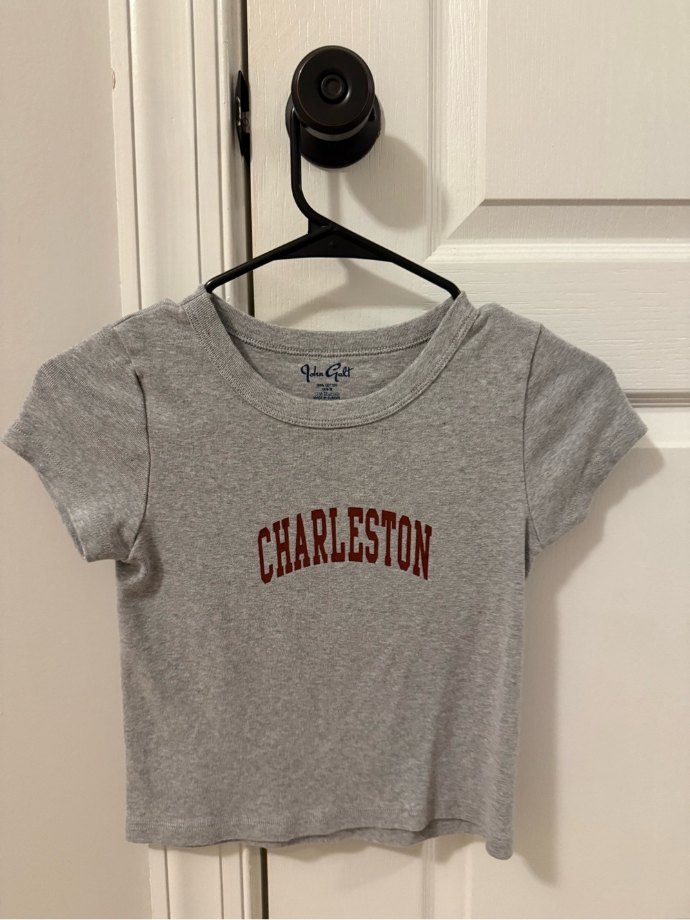 Never worn Brandy Melville Gray Tee with Red Charleston Graphic
